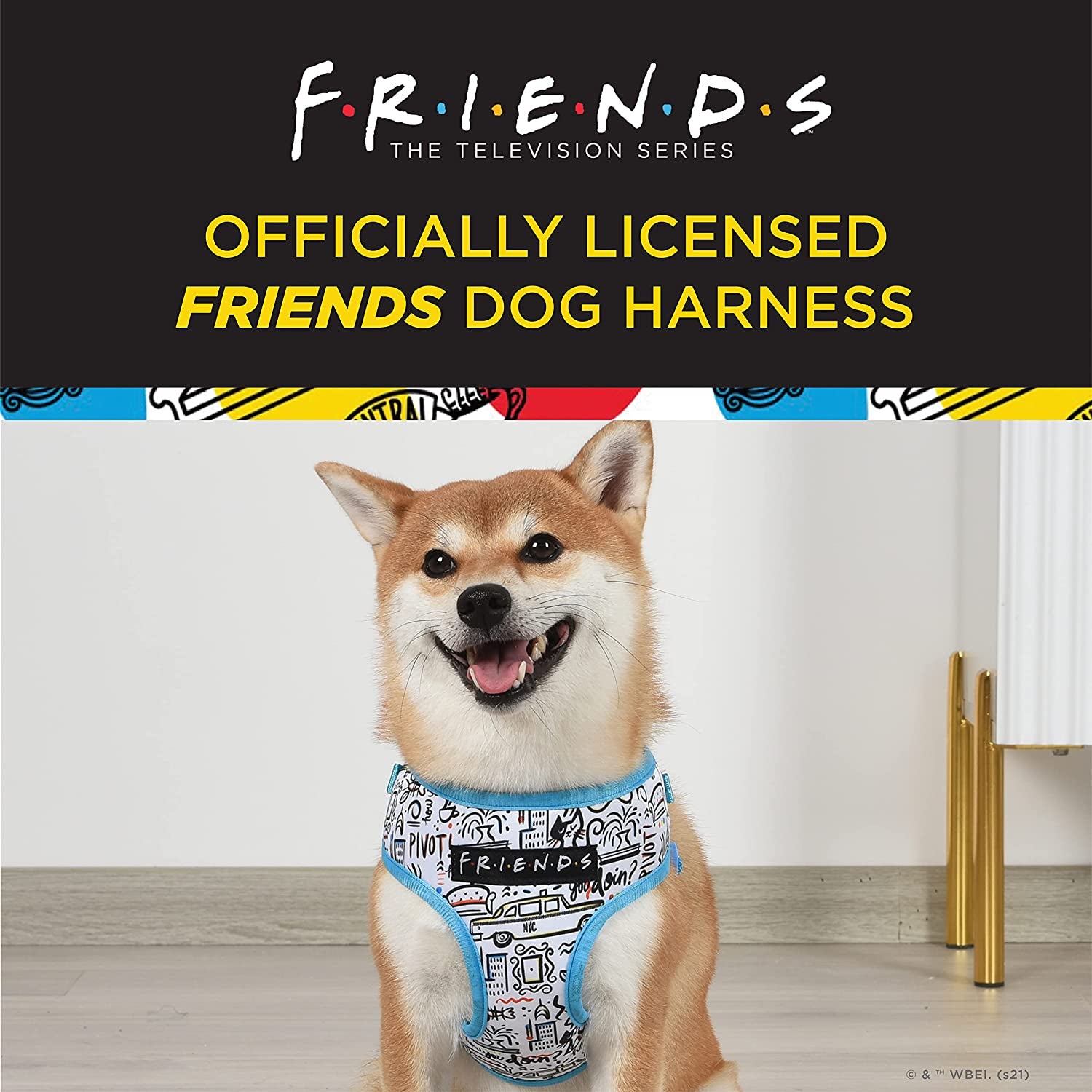 City Doodle Dog Harness for Small Dogs, Small (S) | Blue Small Dog Harness, No Pull Dog Harness with D-Ring | Machine Washable Friends Merch for Dogs from Friends TV Show